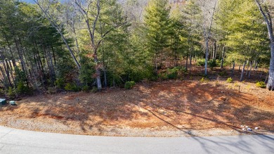 Very Nice easy build lot (gently sloping) in Cullowhee River - photo 27