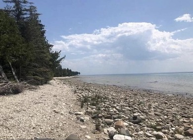 Secluded 2.40acre lot and 424.40 of waterfront on Lake Huron - photo 8