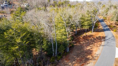 Very Nice easy build lot (gently sloping) in Cullowhee River - photo 28