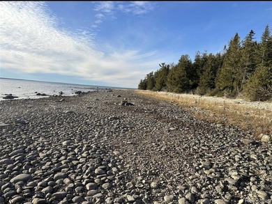 Secluded 2.40acre lot and 424.40 of waterfront on Lake Huron - photo 10