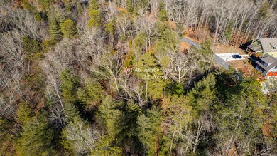 Very Nice easy build lot (gently sloping) in Cullowhee River - photo 30