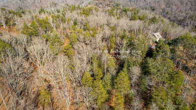 Very Nice easy build lot (gently sloping) in Cullowhee River - photo 31