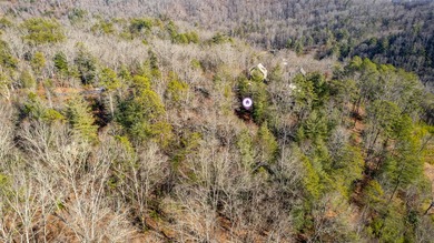 Very Nice easy build lot (gently sloping) in Cullowhee River - photo 32