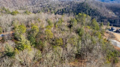 Very Nice easy build lot (gently sloping) in Cullowhee River - photo 33