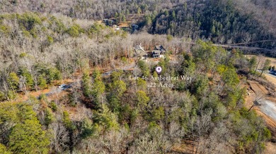 Very Nice easy build lot (gently sloping) in Cullowhee River - photo 34