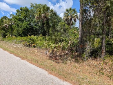 Welcome to to a beautiful residential neighborhood in North Port - photo 1