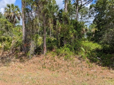 Welcome to to a beautiful residential neighborhood in North Port - photo 2