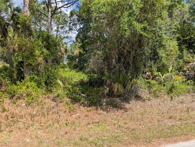 Welcome to to a beautiful residential neighborhood in North Port - photo 3