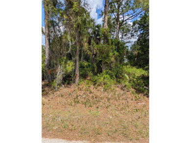 Welcome to to a beautiful residential neighborhood in North Port - photo 6