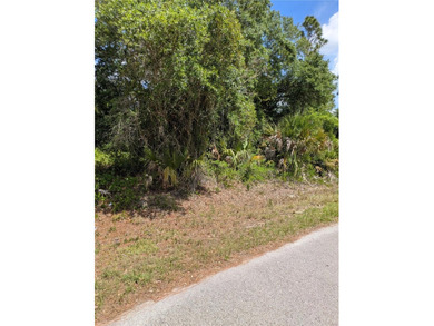 Welcome to to a beautiful residential neighborhood in North Port - photo 7