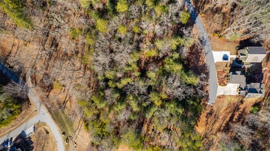 Very Nice easy build lot (gently sloping) in Cullowhee River - photo 48