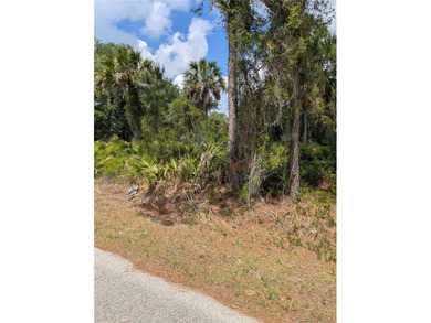 Welcome to to a beautiful residential neighborhood in North Port - photo 8