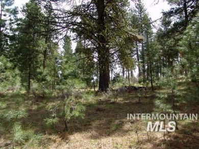 Lake Cascade  Acreage For Sale in Cascade Idaho