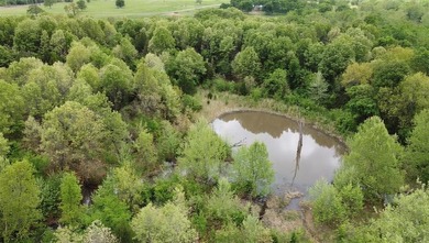 If you're looking for a turnkey hunting property, this 40-acre - photo 1