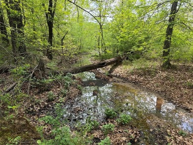 If you're looking for a turnkey hunting property, this 40-acre - photo 2