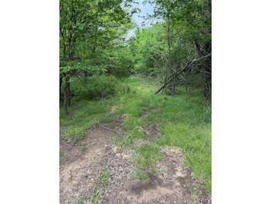 If you're looking for a turnkey hunting property, this 40-acre - photo 3