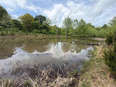 If you're looking for a turnkey hunting property, this 40-acre - photo 6