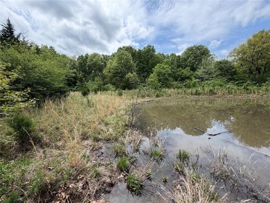 If you're looking for a turnkey hunting property, this 40-acre - photo 7