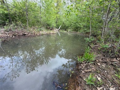 If you're looking for a turnkey hunting property, this 40-acre - photo 8