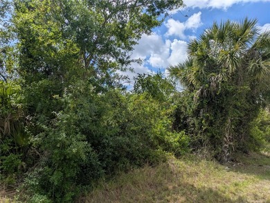 Location! Location! Location! This vacant lot is located in - photo 5