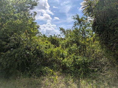 Location! Location! Location! This vacant lot is located in - photo 8