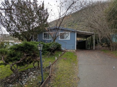 Lake Home For Sale in Kelseyville, California