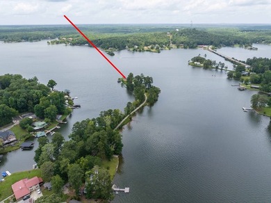 Rare opportunity on Lake Harding. Situated on a premier, deeded - photo 29