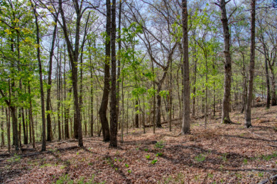 Lake Front 5+ Acres With A View and Wet-Weather Creek! - photo 12
