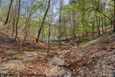 Lake Front 5+ Acres With A View and Wet-Weather Creek! - photo 10