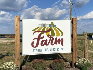 (private lake, pond, creek) Acreage For Sale in Starkville Mississippi