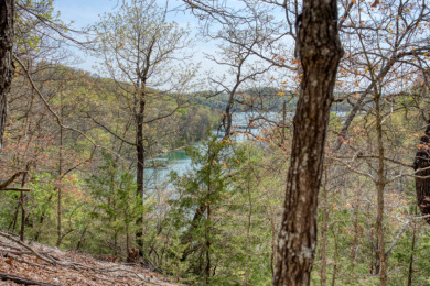 Lake Front 5+ Acres With A View and Wet-Weather Creek! - photo 18