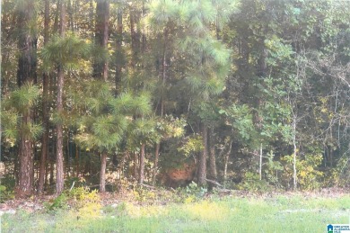 Lake Lot For Sale in Talladega, Alabama