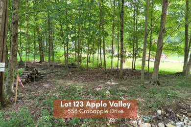 Lake Lot For Sale in Howard, Ohio
