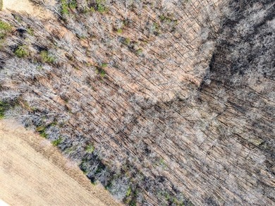 Discover 7 beautiful, partially cleared acres with breathtaking - photo 12