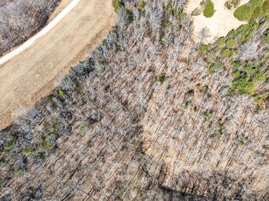 Discover 7 beautiful, partially cleared acres with breathtaking - photo 13