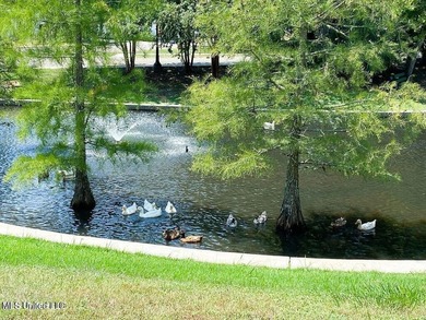 Located in the heart of Old Town Bay St. Louis, this charming - photo 17