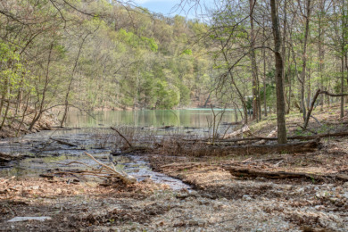 Lake Front 5+ Acres With A View and Wet-Weather Creek! - photo 5
