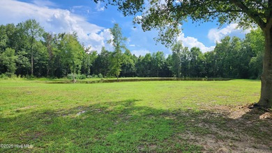 (private lake, pond, coastal) Acreage For Sale in Chadbourn North Carolina