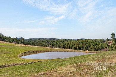 Gorgeous one-owner home set on 62 scenic acres just south of - photo 44
