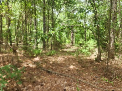 Lake Lot For Sale in Quitman, Texas
