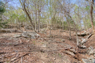 Lake Front 5+ Acres With A View and Wet-Weather Creek! - photo 28