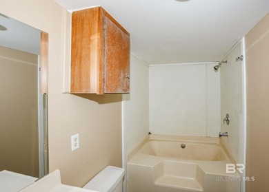OWNER FINANCING possible. Please, Bring all offers! This - photo 54
