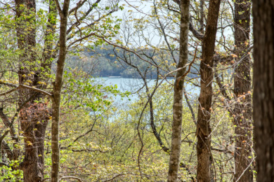 Lake Front 5+ Acres With A View and Wet-Weather Creek! - photo 8