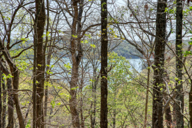 Lake Front 5+ Acres With A View and Wet-Weather Creek! - photo 13