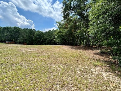 New to the market! Waterfront! 2 lots for the price of one - photo 3
