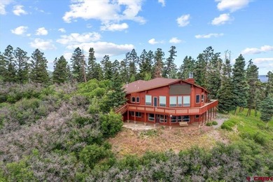 Todd R Schroedel, United Country Sneffels Realty, C:,,: NEW - photo 4