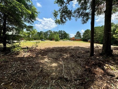New to the market! Waterfront! 2 lots for the price of one - photo 4