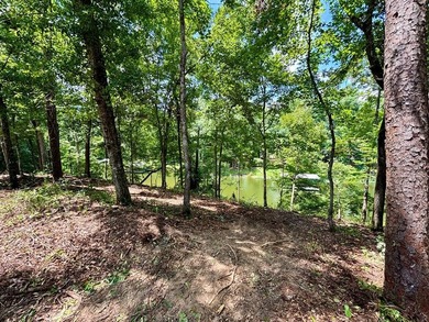 New to the market! Waterfront! 2 lots for the price of one - photo 6