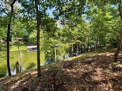 New to the market! Waterfront! 2 lots for the price of one - photo 8