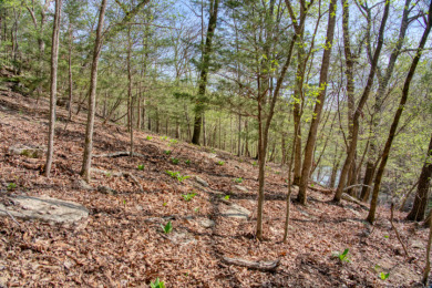 Lake Front 5+ Acres With A View and Wet-Weather Creek! - photo 24
